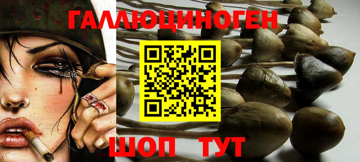 Южноуральск  Псилоцибиновые грибы мицелий  Вход с VPN 